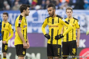 多宝官网 -c罗波尔图远射