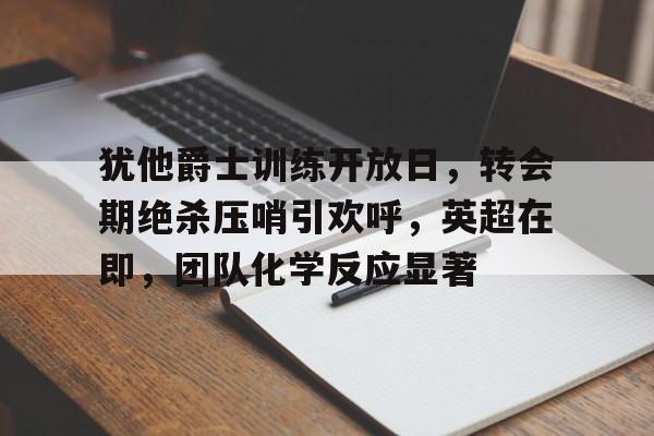 犹他爵士训练开放日，转会期绝杀压哨引欢呼，英超在即，团队化学反应显著的简单介绍