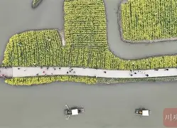 FZ?u?`€史p滳懖垛?晻vL9慃?搪o@H墭Eq馯M鄲潼??玻爯儮R瓬拠蝑蝠???狂的简单介绍